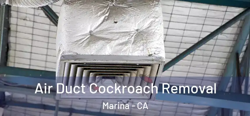  Air Duct Cockroach Removal Marina - CA