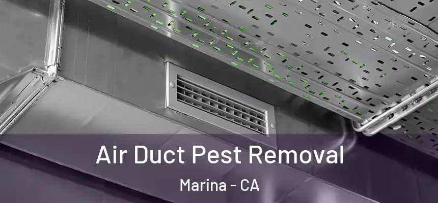  Air Duct Pest Removal Marina - CA