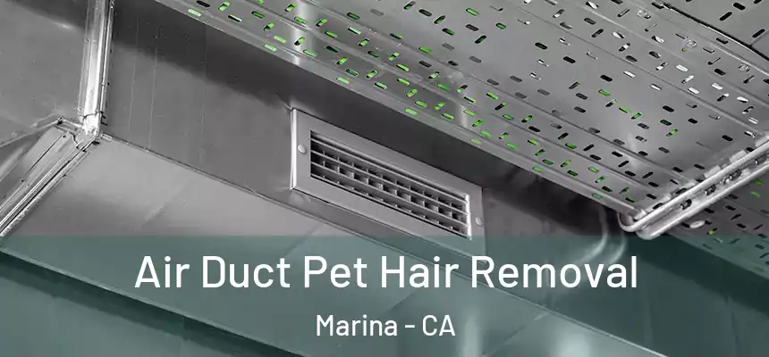  Air Duct Pet Hair Removal Marina - CA