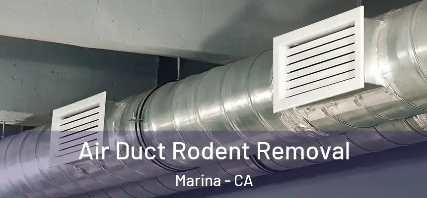  Air Duct Rodent Removal Marina - CA