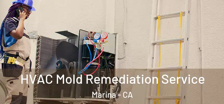 HVAC Mold Remediation Service Marina - CA