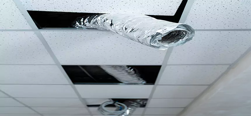 Our Air Duct Pet Hair Removal Services in Marina, CA