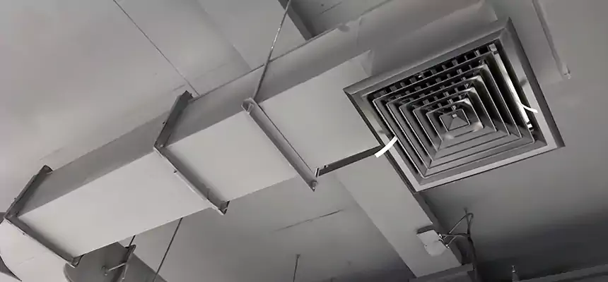 Restorative Allergy Relief Vent Cleaning – Coil, Blower & Housing Detail in Marina