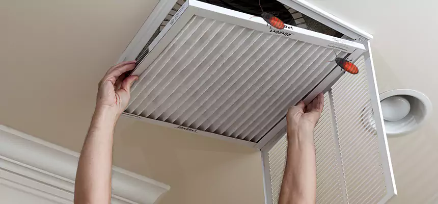 Our Insect Removal from Air Ducts Services in Marina, CA