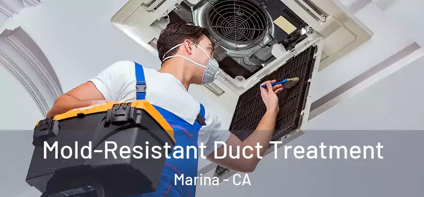  Mold-Resistant Duct Treatment Marina - CA