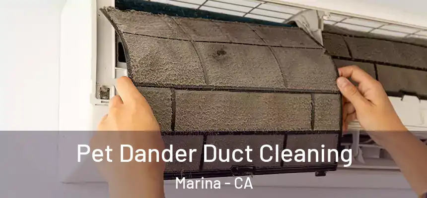  Pet Dander Duct Cleaning Marina - CA