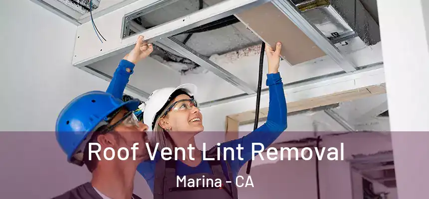  Roof Vent Lint Removal Marina - CA