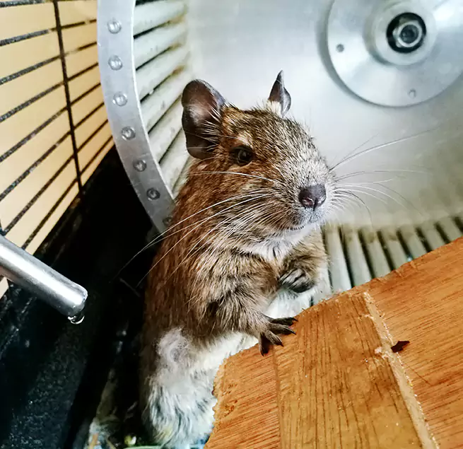 Why Homeowners & Businesses Trust Us Marina, CA?