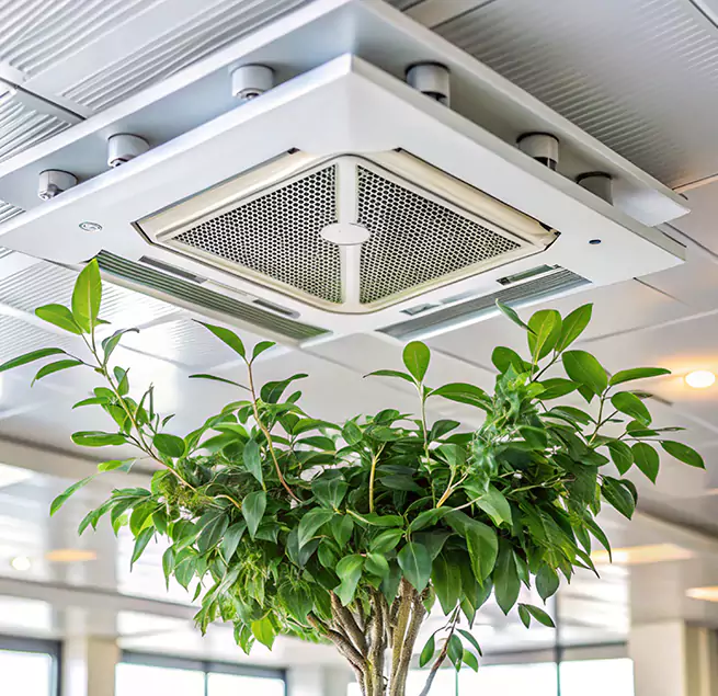 Why Homeowners & Businesses Trust Us in Marina, CA